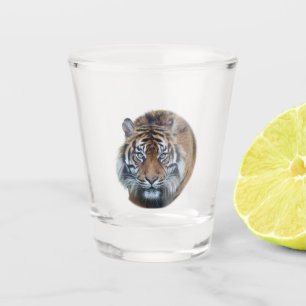 Schönes Bengalisches Tiger Face Foto Schnapsglas