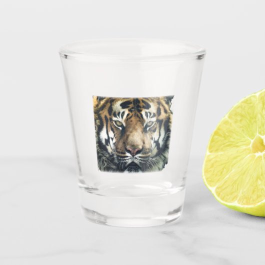 Schönes Bengalisches Tiger Face Foto Schnapsglas (Vorderseite)