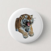 Schönes Bengalisches Tiger-Foto Button (Vorderseite)