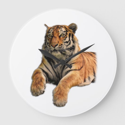 Schönes Bengalisches Tiger-Foto Große Wanduhr (Vorderseite)