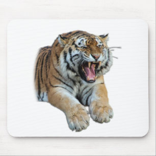 Schönes Bengalisches Tiger-Foto Mousepad