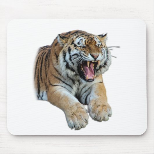 Schönes Bengalisches Tiger-Foto Mousepad (Vorne)