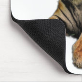 Schönes Bengalisches Tiger-Foto Mousepad (Ecke)