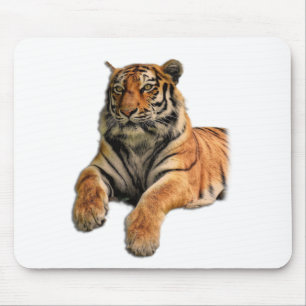Schönes Bengalisches Tiger-Foto Mousepad