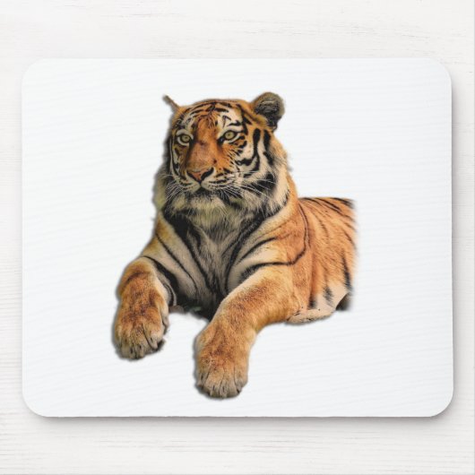 Schönes Bengalisches Tiger-Foto Mousepad (Vorne)