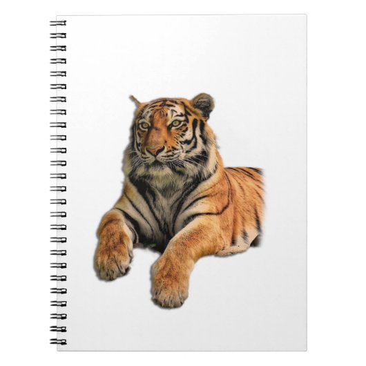 Schönes Bengalisches Tiger-Foto Notizblock (Vorderseite)