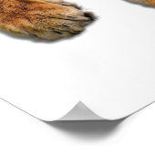 Schönes Bengalisches Tiger-Foto Poster (Ecke)