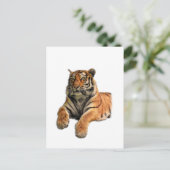 Schönes Bengalisches Tiger-Foto Postkarte (Stehend Vorderseite)