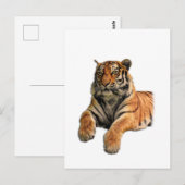 Schönes Bengalisches Tiger-Foto Postkarte (Vorne/Hinten)