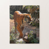 Schönes Bengalisches Tiger Jigsaw Puzzle (Vertikal)