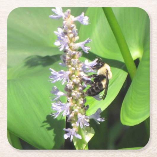 Schönes Bienen-Untersetzer-Set Rechteckiger Pappuntersetzer (Vorderseite)