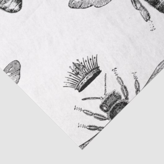 Schönes Bienenseriendesign 31 Seidenpapier (Ausschnitt)