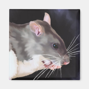 Schönes Bild mit Rat Magnet