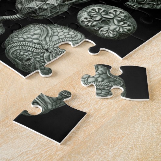 Schönes Bild von zystoiden Fossilien in Schwarz un Puzzle (Seite)