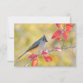 Schönes Bird Foto | NAH | Von Herzen Karte (Vorderseite)