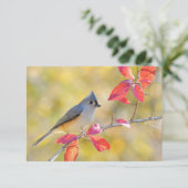 Schönes Bird Foto | NAH | Von Herzen Karte (Stehend Vorderseite)