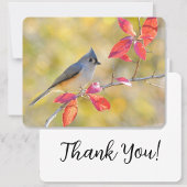 Schönes Bird Foto | NAH | Von Herzen Karte