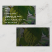 Schönes Birken-Blätter Visitenkarte (Vorne/Hinten)