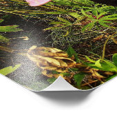 Schönes Black Labrador Hund Foto drucken (Ecke)