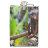 Schönes Blau und Gold Macaw Flachmann (Rückseite)