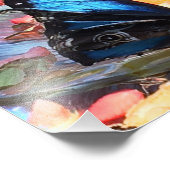 Schönes Blau und Schwarzer Schmetterling Fotodruck (Ecke)
