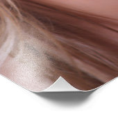 Schönes blaues Augblümchen Fotodruck (Ecke)