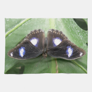 Schönes blaues Gepunktetes Schmetterlingsküche Han Küchentuch
