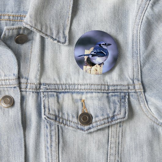 Schönes blaues Jay Button (Beispiel)