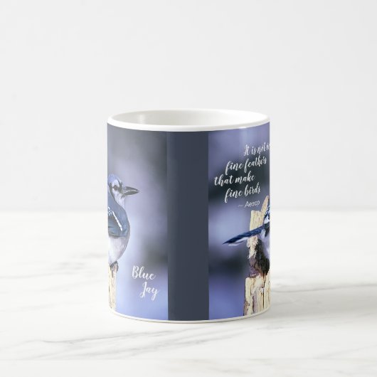 Schönes blaues Jay-Geldstrafe-Feder-Zitat Kaffeetasse (Mittel)