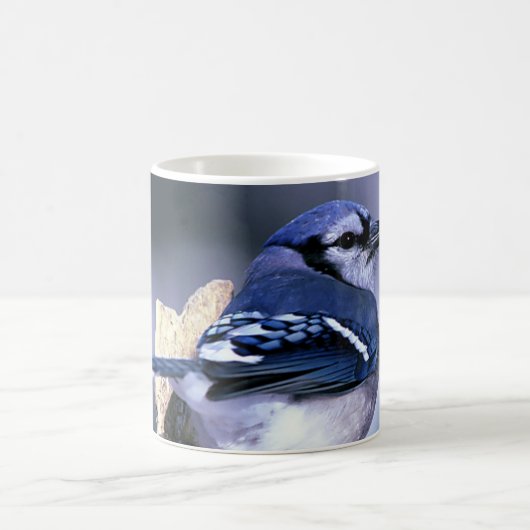 Schönes blaues Jay Kaffeetasse (Mittel)