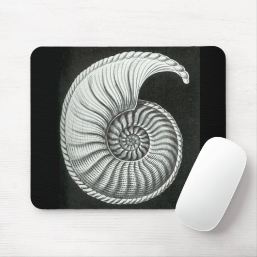 Schönes Bleistiftzeichnen von Amaltheus Ammoniten Mousepad (Mit Mouse)
