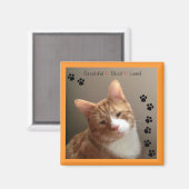 Schönes Blindes Liebesmagnet Magnet (Vorderseite/Rückseite)