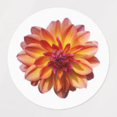 Schönes Blossom Etiketten (Design 2)