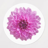Schönes Blossom Etiketten (Design 1)