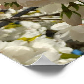 Schönes Blossom Poster (Ecke)
