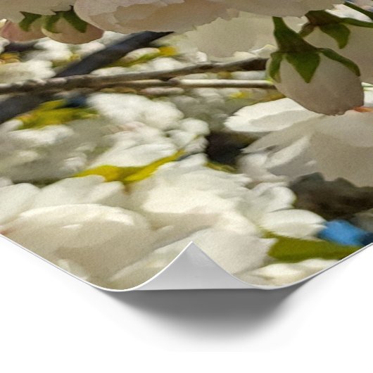 Schönes Blossom Poster (Ecke)