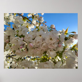 Schönes Blossom Poster