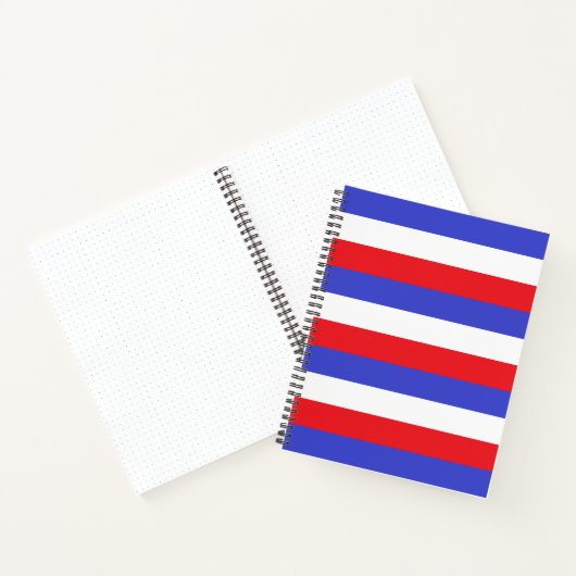 Schönes Blue Red White Strips Notebook Notizblock (Innenseite)