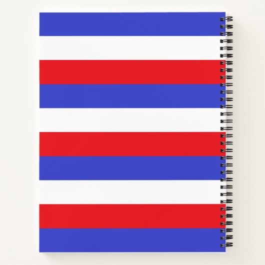Schönes Blue Red White Strips Notebook Notizblock (Rückseite)