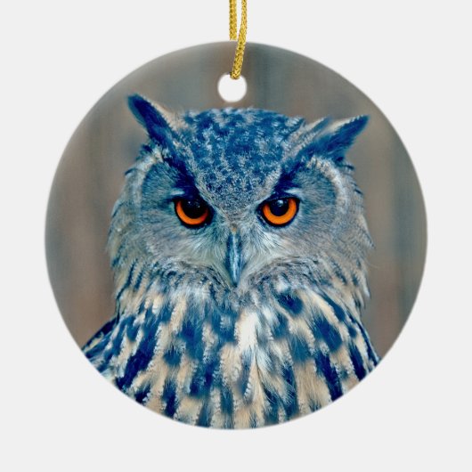 Schönes Blue Uhu Raptor Owl Keramik Ornament (Vorne)
