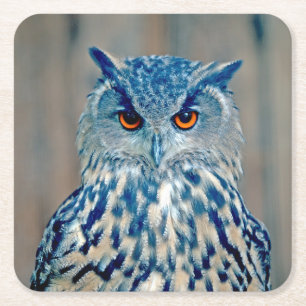 Schönes Blue Uhu Raptor Owl Rechteckiger Pappuntersetzer