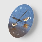 Schönes Blue Water Sandpiper Foto Runde Wanduhr (Winkel)
