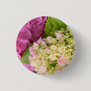 Schönes blühendes Rosa und weiße Hydrangeas Button