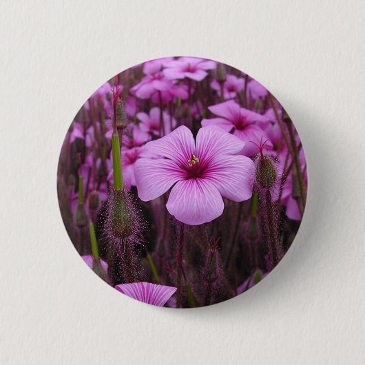 Schönes Blumen Button (Vorderseite)