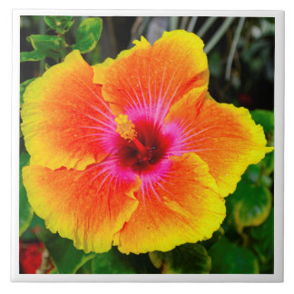 Schönes Blumen-Fotobild Fliese