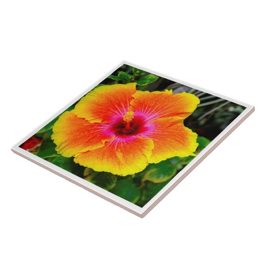 Schönes Blumen-Fotobild Fliese (Seite)