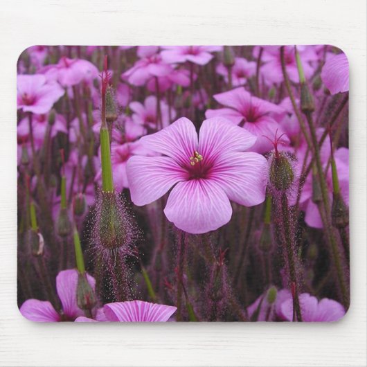 Schönes Blumen Mousepad (Vorne)
