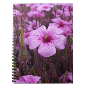 Schönes Blumen Notizblock
