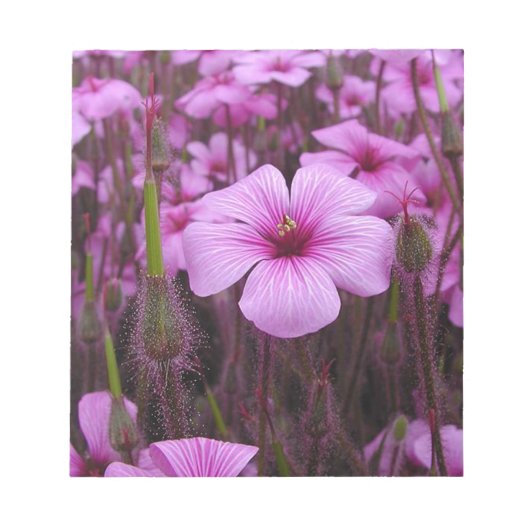 Schönes Blumen Notizblock (Vorderseite)