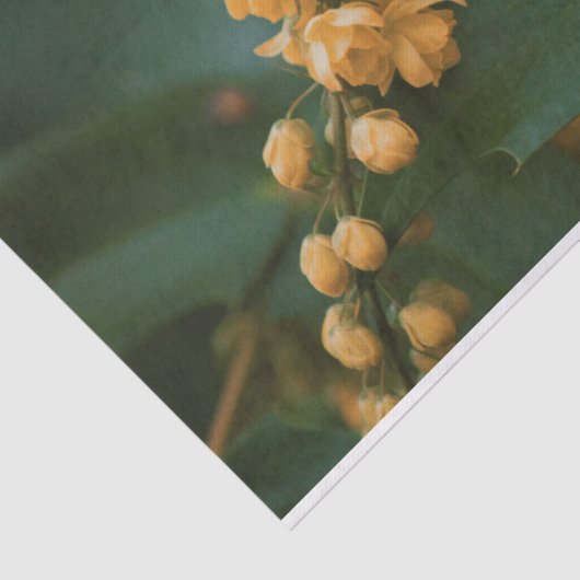 Schönes Blumenpapier für Blume Seidenpapier (Ausschnitt)